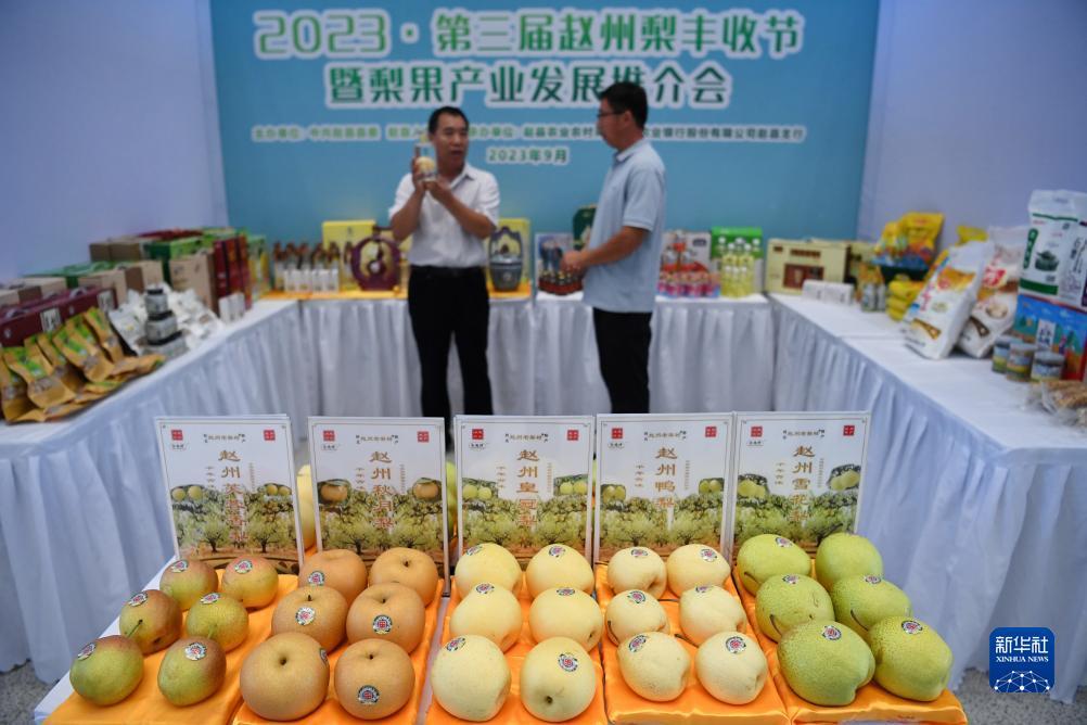 玖信娱乐指尖得